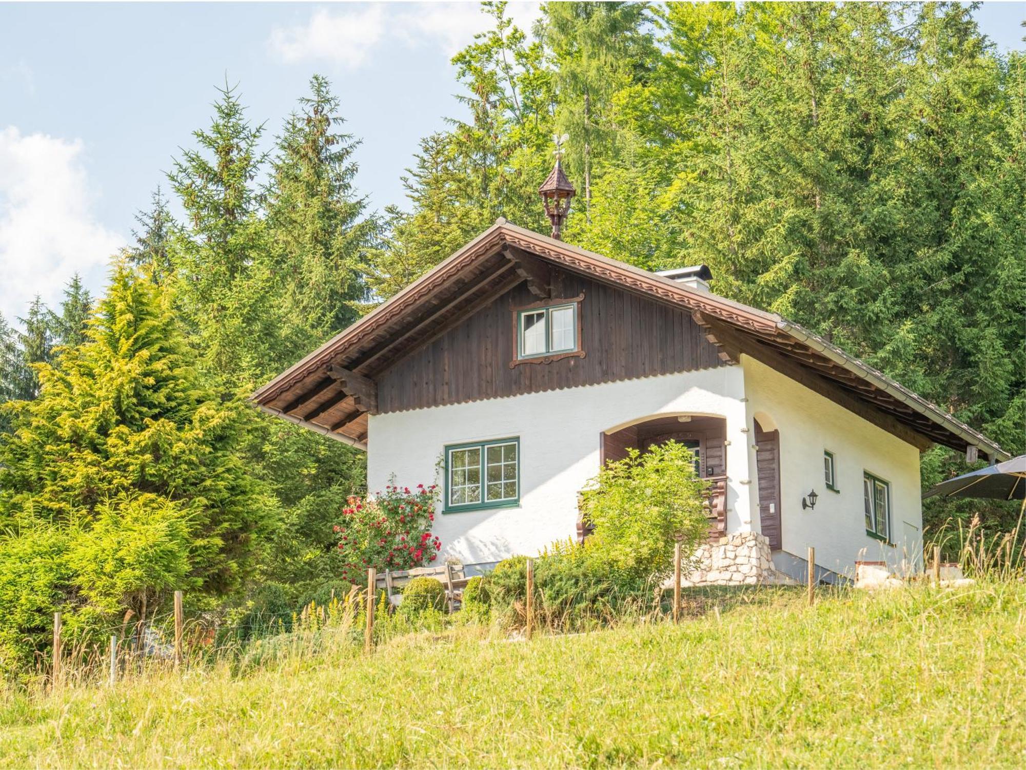 Willa Strickerl Bad Goisern Zewnętrze zdjęcie